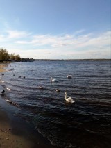 Plaża miejska w Nieporęcie