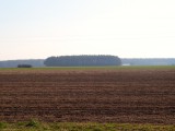 fot. Guty - pola uprawne, w tle za widocznym wycinkiem lasu rozpościerają się LASY SEROCKIE