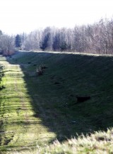 Wał ziemny w Białobrzegach (Gmina Nieporęt), obok ul. Kąpielowej - trasa liwecka, szlak nieporęcki